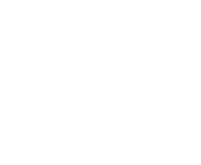 Evolution games at Bingo Village Casino