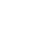 NetEnt games at Bingo Village Casino